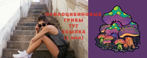 таблы Арсеньев