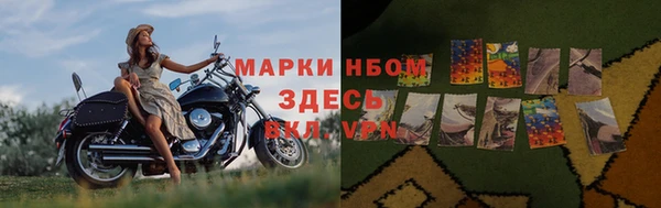 спиды Аркадак
